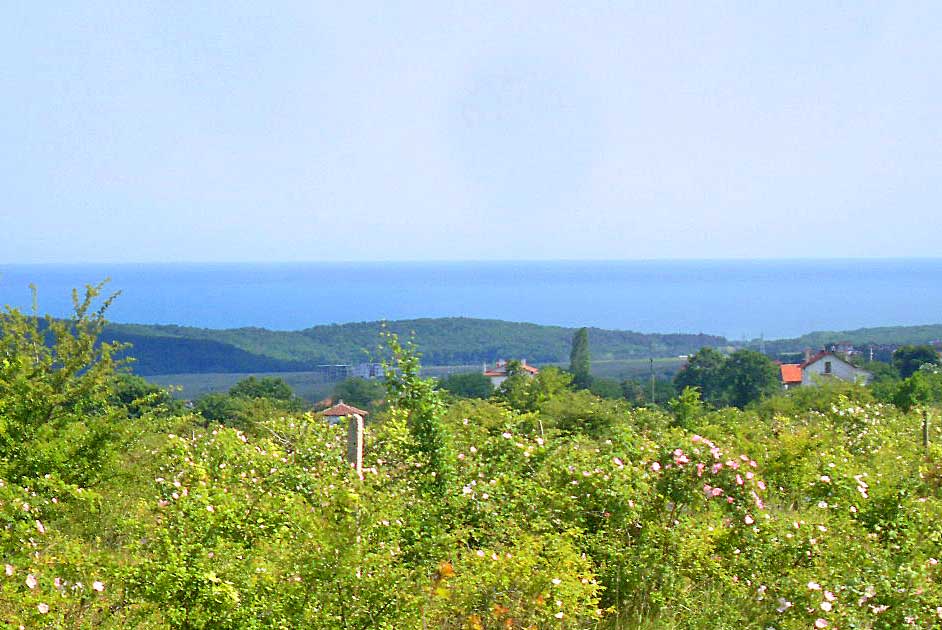 Недвижимость в Болгарии. View to the Black Sea from the Bliznatsi land property. 