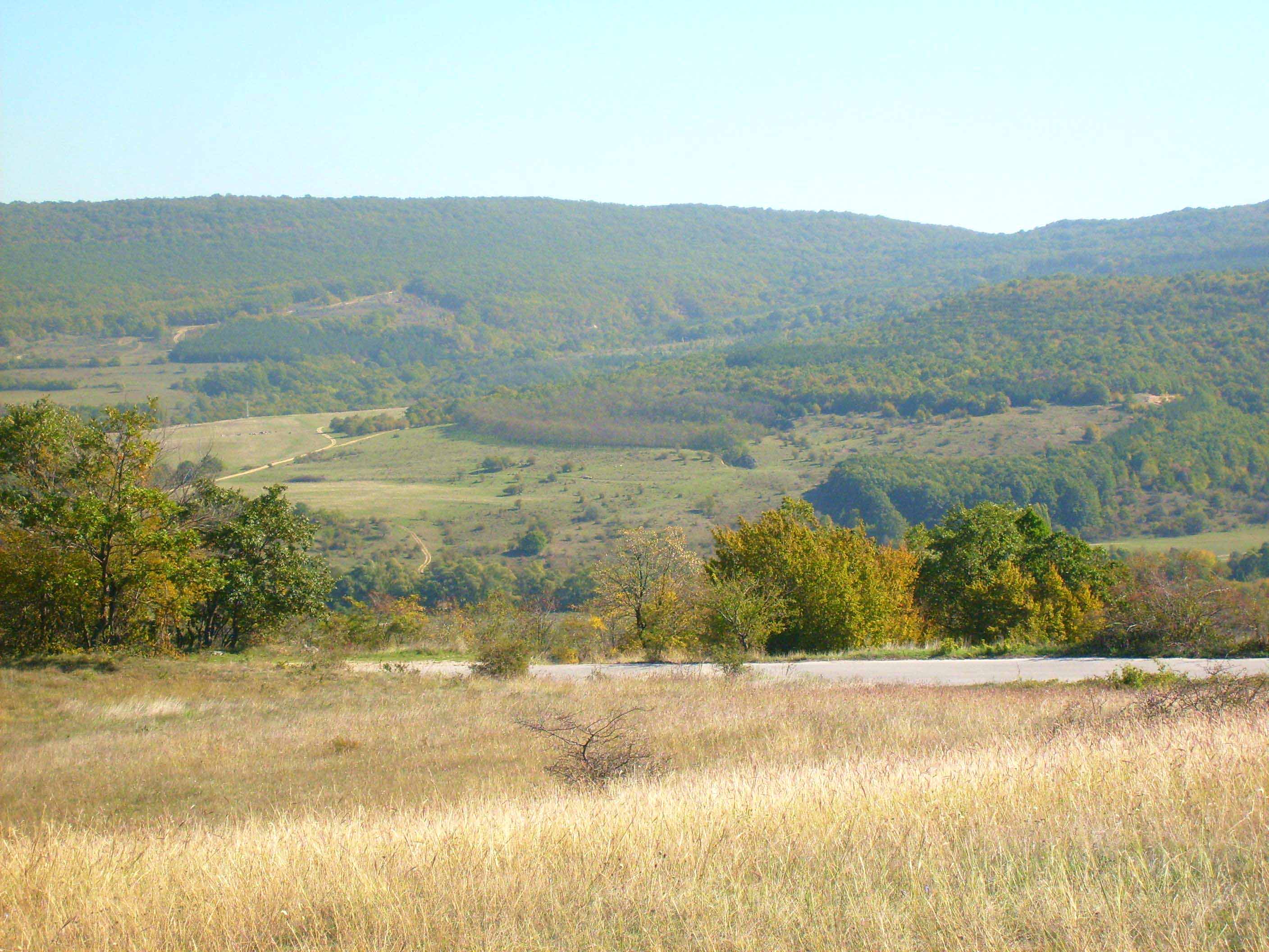 You can wake up to this beautiful view of the protected forest reserve. Perfect for walking and exploring. Golden Sands Resort is located behind this hill.